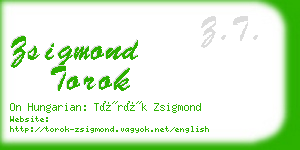 zsigmond torok business card